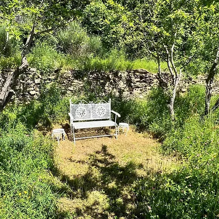 Campo Paradiso