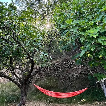 Campo Paradiso Luxury tent *